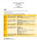 Desarrollo de competencias comunicativas a partir del uso y estudio formal del lenguaje