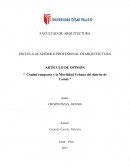 Articulo de opinion ESCUELA ACADÉMICO PROFESIONAL DEARQUITECTURA