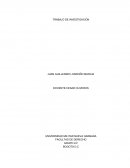 TRABAJO DE INVESTIGACION FACULTAD DE DERECHO.