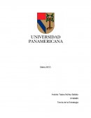 La matriz de Boston Consulting Group (BCG)