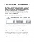 CASE: LARA TOOLS S. A.