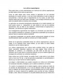Los cultivos organológicos