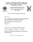 Elaborar por medio de Gráficos las partes de Microsoft Office Project 2010