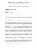 Ensayo sobre "Mi Lucha" hitler