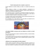 TODOS HABLAMOS DEL CAMBIO CLIMATICO