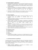 Estrategias didácticas a implementarse