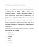 IMPORTANCIA DEL ESTUDIO DE ANATOMIA DENTAL.