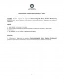 RESOLUCION DE VICERRECTORIA ACADEMICA N° X/2017