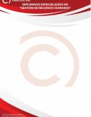 UNA EMPRESA DE DISTRIBUCION DE MATERIALES DE CONSTRUCCION “ABC SAC”