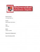 Profesión y sociedad Ensayo sobre el bullying escolar