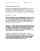 EFICACIA EN EL APROVECHAMIENTO DE ENERGIA