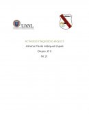 Actividad integradora El lago de los cisnes