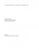 VALIDACION GESTION DE LA CONSTRUCCION