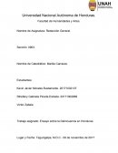 Ensayo sobre la Delincuencia en Honduras