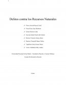 Cuales son los Delitos contra los recursos naturales