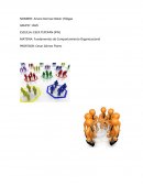 COMPORTAMIENTO ORGANIZACIONAL Factores intrínsecos y extrínsecos, dirección, intensidad y persistencia.