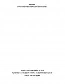 ESTUDIO DE CASO LADRILLERA DE COLOMBIA