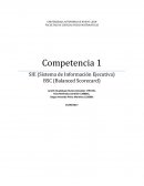 Sistema de Información Ejecutiva - SIE