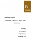 INFORME T3 SISTEMAS DE INFORMACIÓN GERENCIAL
