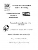 Ensayo sobre la Reforma Educativa OPTATIVA: Programas y Proyectos Institucionales