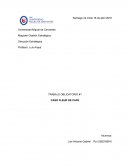 TRABAJO OBLIGATORIO CASO FLEUR DE CAFÉ