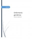 Reconocer los cambios en el sistema respiratorio relacionados con la edad.