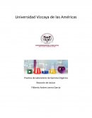 Practica de Laboratorio de Química Orgánica