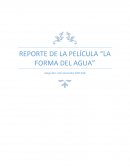 REPORTE DE LA PELÍCULA “LA FORMA DEL AGUA”