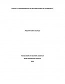 ENSAYO “FUNCIONANIEMTO EN ALGUNAS REDES DE TRANSPORTE”