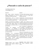 ¿Pescado o caña de pescar?