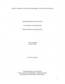 Tarea ENSAYO: IMPORTACION DESDE COLOMBIA LAS MOTOS ELECTRICAS