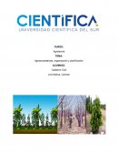 Agrotecnia practica n1 Agroecosistemas, organizaciòn y planificaciòn