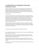 La condición física y sus componentes, razones para mantenerse en forma