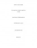 Crear o morir CREATIVIDAD Y EMPRENDIMIENTO