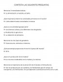 ¿Qué importancia tienen las actividades primarias en el mundo?