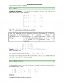 Matrices MATEMATICAS APLICADAS