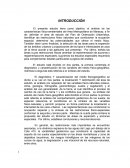 Medio Fisico Area Metropolitana Maracay INTRODUCCIÓN