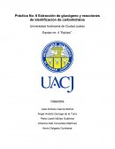Práctica No. 6 Extracción de glucógeno y reacciones de identificación de carbohidratos
