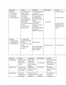 MUSCULOS ORIGEN INSERCIÓN