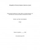Estudio sobre el análisis de la huella plantar en el equipo masculino de secundaria como factor para mejorar el rendimiento en el futbol.
