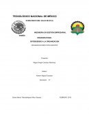 Diseño organizacional