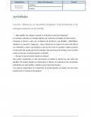 Metanoia ¿Qué significa un enfoque centrado en la familia en atención temprana?