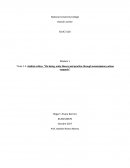 Análisis crítico- “On being; unity theory and practice through emancipatory action research”