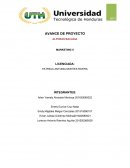 Avance de proyecto Mercadoctenia