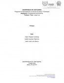 Ensayo fundamento economia
