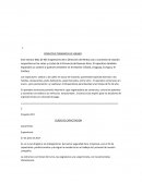 OPERATIVO TORMENTA DE VERANO