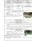 BAÑOS TERMOMEDICINALES DE SANTA TERESA, CUSCO-PERU