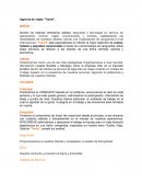 Mision, vision y valores de una empresa de viajes