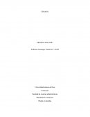 Gerencia Del Talento Humano ENSAYO