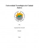 Ejemplo de el nuevo Documento con Formato APA